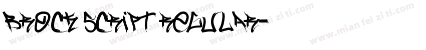Brock Script Regular字体转换